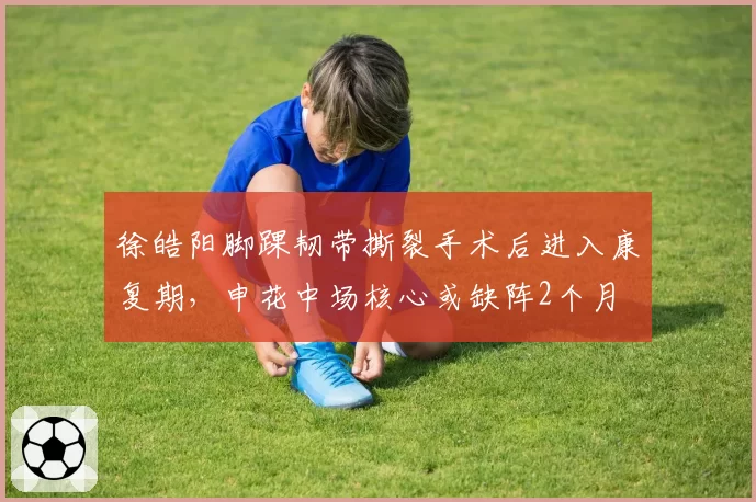 徐皓阳脚踝韧带撕裂手术后进入康复期，申花中场核心或缺阵2个月