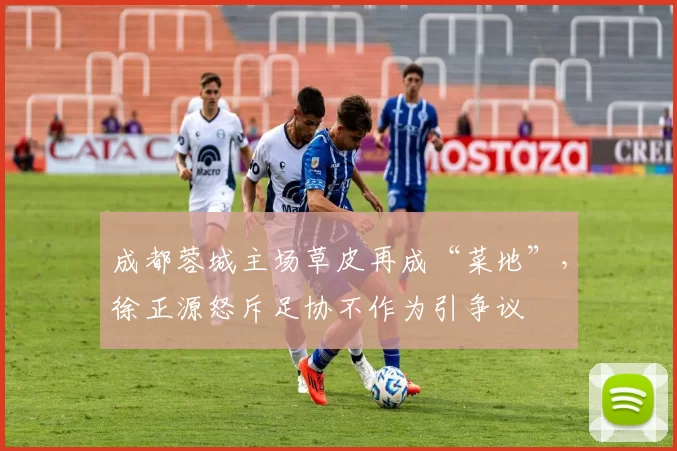 成都蓉城主场草皮再成“菜地”，徐正源怒斥足协不作为引争议