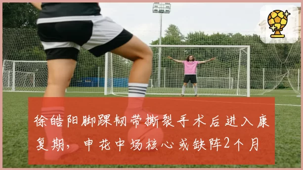徐皓阳脚踝韧带撕裂手术后进入康复期，申花中场核心或缺阵2个月